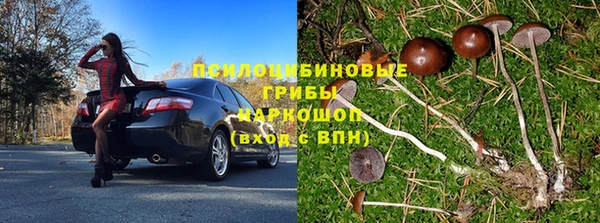 гашик Горнозаводск