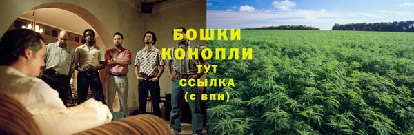 прущая мука Горняк